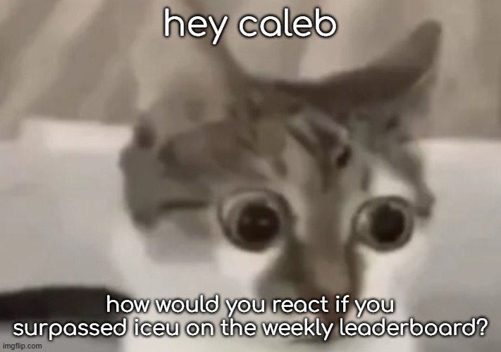 question for caleb | hey caleb; how would you react if you surpassed iceu on the weekly leaderboard? | image tagged in bombastic side eye cat | made w/ Imgflip meme maker