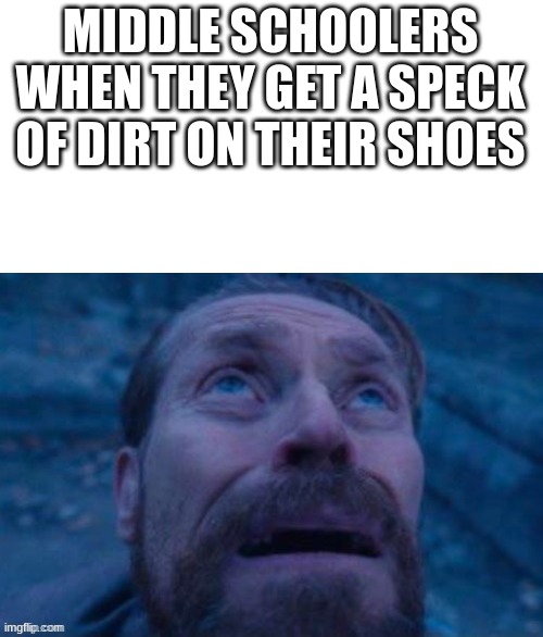 LITERALLY NO ONE CARES | MIDDLE SCHOOLERS WHEN THEY GET A SPECK OF DIRT ON THEIR SHOES | image tagged in scared guy i don't know his name,stupid | made w/ Imgflip meme maker