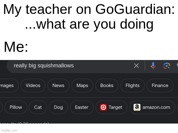 "for research purposes" | My teacher on GoGuardian: ...what are you doing; Me: | image tagged in research | made w/ Imgflip meme maker