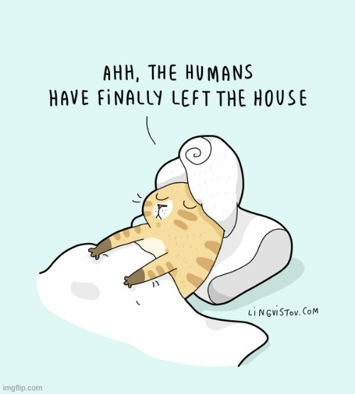 A Cat's Way Of Thinking | image tagged in memes,comics/cartoons,cats,humans,gone,relaxing | made w/ Imgflip meme maker
