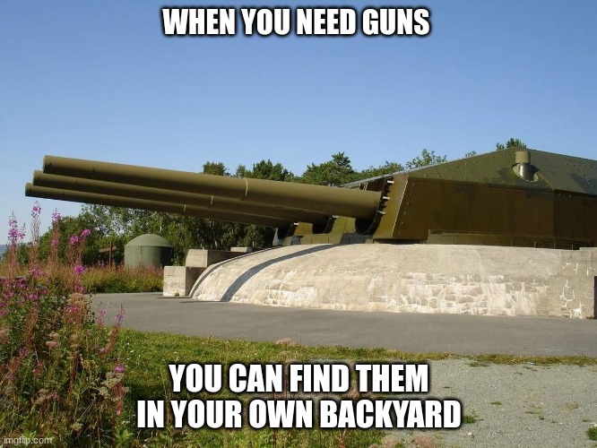 battleship turret | WHEN YOU NEED GUNS; YOU CAN FIND THEM IN YOUR OWN BACKYARD | image tagged in battleship turret | made w/ Imgflip meme maker