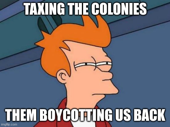 History meme | TAXING THE COLONIES; THEM BOYCOTTING US BACK | image tagged in memes,futurama fry | made w/ Imgflip meme maker