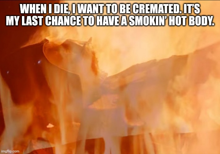 Hot Body | WHEN I DIE, I WANT TO BE CREMATED. IT’S MY LAST CHANCE TO HAVE A SMOKIN’ HOT BODY. | image tagged in darth vader cremation,dad joke,funny,humor,jokes | made w/ Imgflip meme maker
