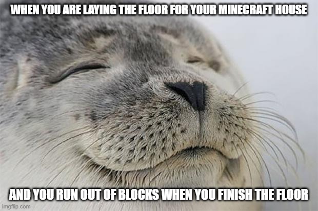 ahhh yeeessss | WHEN YOU ARE LAYING THE FLOOR FOR YOUR MINECRAFT HOUSE; AND YOU RUN OUT OF BLOCKS WHEN YOU FINISH THE FLOOR | image tagged in memes,satisfied seal,satisfying,minecraft | made w/ Imgflip meme maker