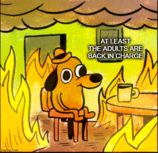 How's that working out for you? | AT LEAST THE ADULTS ARE BACK IN CHARGE | image tagged in this is fine dog | made w/ Imgflip meme maker