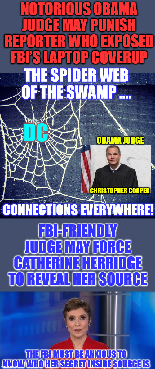 Another Amendment under attack from the rabid left... | NOTORIOUS OBAMA JUDGE MAY PUNISH REPORTER WHO EXPOSED FBI’S LAPTOP COVERUP; THE SPIDER WEB OF THE SWAMP .... DC; 0BAMA JUDGE; CHRISTOPHER COOPER; CONNECTIONS EVERYWHERE! FBI-FRIENDLY JUDGE MAY FORCE CATHERINE HERRIDGE TO REVEAL HER SOURCE; THE FBI MUST BE ANXIOUS TO KNOW WHO HER SECRET INSIDE SOURCE IS | image tagged in spider web,obama,judge,threats,first amendment | made w/ Imgflip meme maker