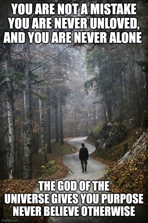 Man Walking Alone In woods | YOU ARE NOT A MISTAKE YOU ARE NEVER UNLOVED, AND YOU ARE NEVER ALONE; THE GOD OF THE UNIVERSE GIVES YOU PURPOSE
NEVER BELIEVE OTHERWISE | image tagged in man walking alone in woods | made w/ Imgflip meme maker