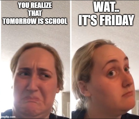 Kombucha Girl | WAT.. IT'S FRIDAY; YOU REALIZE THAT TOMORROW IS SCHOOL | image tagged in kombucha girl,memes,funny,funny memes | made w/ Imgflip meme maker