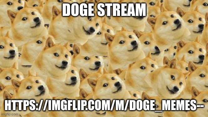https://imgflip.com/m/Doge_Memes-- | DOGE STREAM; HTTPS://IMGFLIP.COM/M/DOGE_MEMES-- | image tagged in memes,multi doge | made w/ Imgflip meme maker
