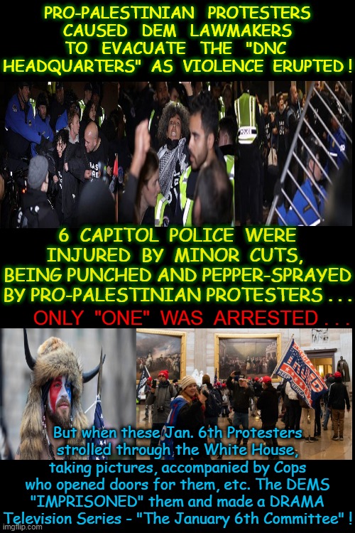 MY PRECIOUS "vs." THEIR OPPONENTS - THE HATED TRUMP SUPPORTERS . . . (+1033 Americans arrested/1003 charged !) | PRO-PALESTINIAN   PROTESTERS  CAUSED   DEM   LAWMAKERS  TO   EVACUATE   THE   "DNC  HEADQUARTERS"  AS  VIOLENCE  ERUPTED ! 6  CAPITOL  POLICE  WERE INJURED  BY  MINOR  CUTS,  BEING PUNCHED AND PEPPER-SPRAYED BY PRO-PALESTINIAN PROTESTERS . . . ONLY  "ONE"  WAS  ARRESTED . . . But when these Jan. 6th Protesters strolled through the White House, taking pictures, accompanied by Cops who opened doors for them, etc. The DEMS "IMPRISONED" them and made a DRAMA Television Series - "The January 6th Committee" ! | image tagged in palestine,protesters,violence,american horror story,prison bars,prisoners | made w/ Imgflip meme maker