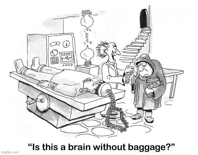image tagged in memes,comics/cartoons,mad scientist,brain,no,baggage | made w/ Imgflip meme maker
