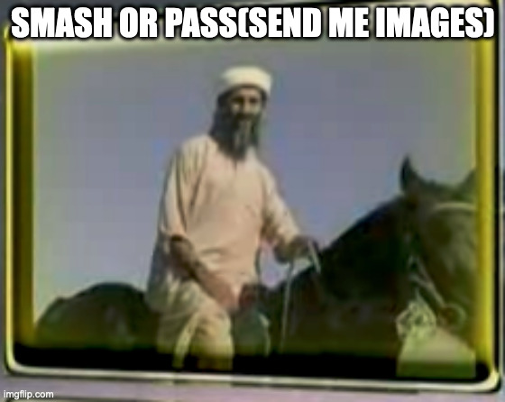 real | SMASH OR PASS(SEND ME IMAGES) | image tagged in osama on horse | made w/ Imgflip meme maker