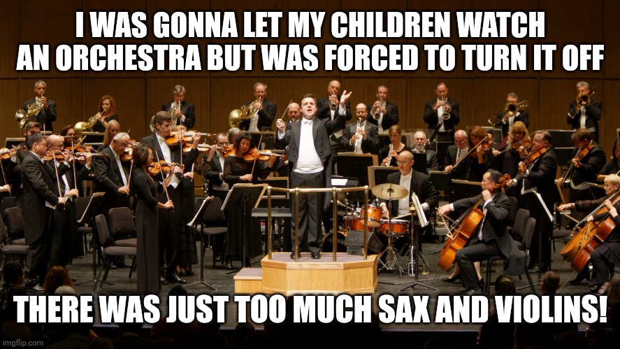 Orchestra | I WAS GONNA LET MY CHILDREN WATCH AN ORCHESTRA BUT WAS FORCED TO TURN IT OFF; THERE WAS JUST TOO MUCH SAX AND VIOLINS! | image tagged in orchestra | made w/ Imgflip meme maker