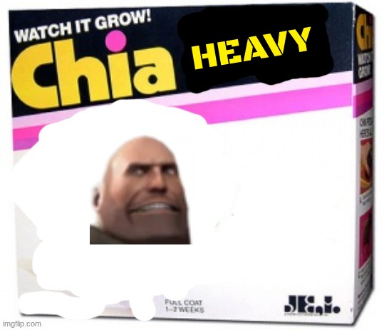 rejected chia pets volume 4 | HEAVY | image tagged in chia pet blank,tf2,fake,valve | made w/ Imgflip meme maker