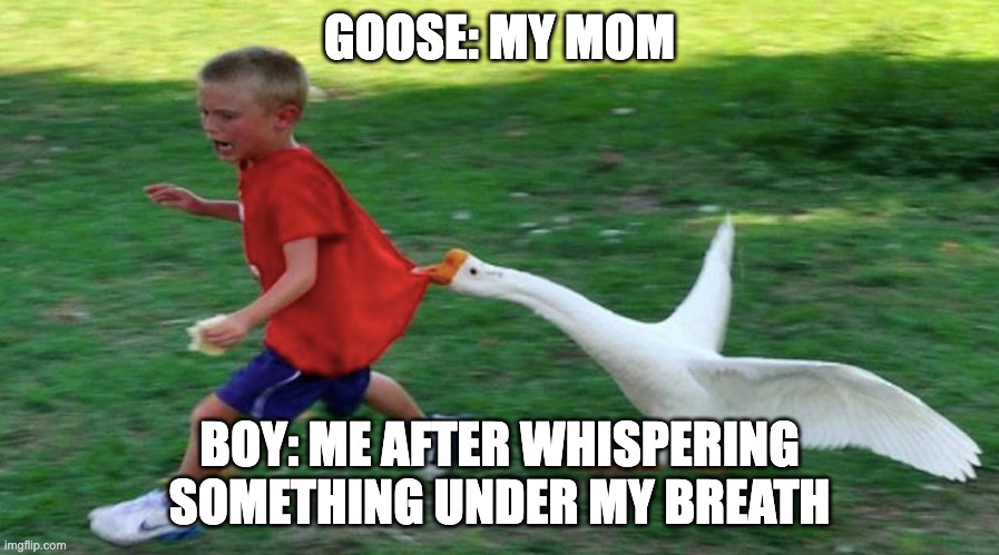 funny original meme that doesnt make sense | GOOSE: MY MOM; BOY: ME AFTER WHISPERING SOMETHING UNDER MY BREATH | image tagged in original meme | made w/ Imgflip meme maker