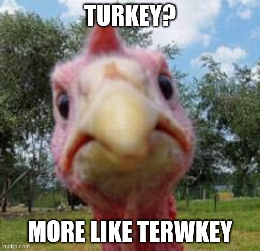 terwkey turkey | TURKEY? MORE LIKE TERWKEY | image tagged in turkey | made w/ Imgflip meme maker