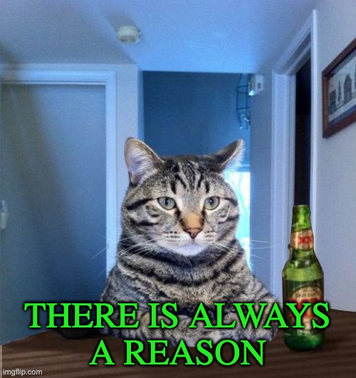 Most Interesting Cat In The World | THERE IS ALWAYS
A REASON | image tagged in most interesting cat in the world | made w/ Imgflip meme maker