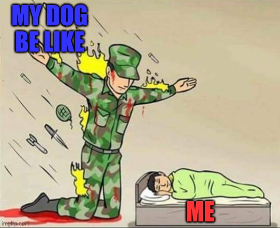 tru | MY DOG BE LIKE; ME | image tagged in soldier protecting sleeping child | made w/ Imgflip meme maker