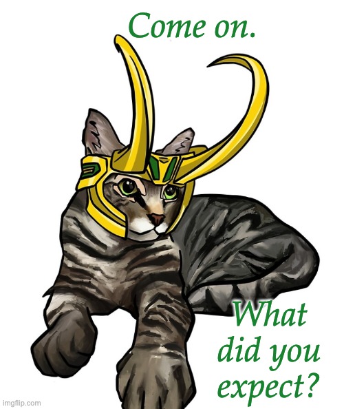 I still haven't finished season 2 (too busy, must nap) | Come on. What did you expect? | image tagged in loki,cat,marvel,mcu,tv show | made w/ Imgflip meme maker