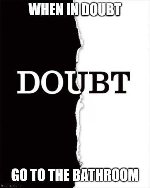 Doubt | WHEN IN DOUBT; GO TO THE BATHROOM | image tagged in when in doubt,funny memes | made w/ Imgflip meme maker