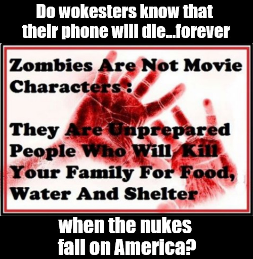 when those nukes fall, phones will die by the 100's of millions | Do wokesters know that 
their phone will die...forever; when the nukes 
fall on America? | image tagged in memes,politics,nuclear war,phones,emp | made w/ Imgflip meme maker