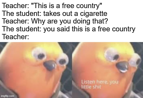 Listen here you little shit bird | Teacher: "This is a free country"
The student: takes out a cigarette
Teacher: Why are you doing that?
The student: you said this is a free country
Teacher: | image tagged in listen here you little shit bird | made w/ Imgflip meme maker