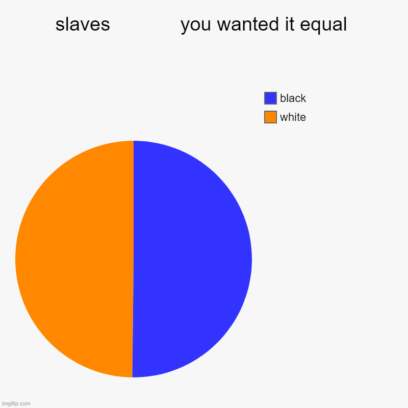 slaves             you wanted it equal | white, black | image tagged in charts,pie charts | made w/ Imgflip chart maker