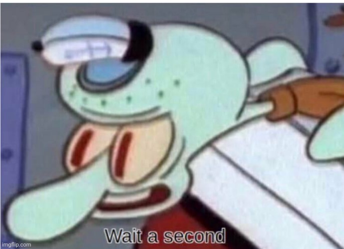 Squidward wait a second | image tagged in squidward wait a second | made w/ Imgflip meme maker