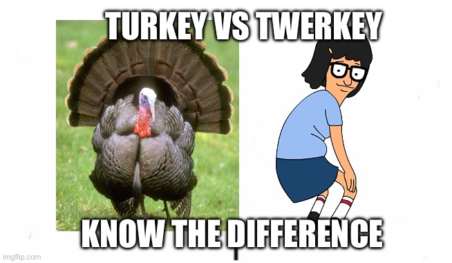 Turkey or Twerkey | TURKEY VS TWERKEY; KNOW THE DIFFERENCE | image tagged in know the differences,twerking,turkey | made w/ Imgflip meme maker