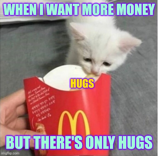 Ah yes, I'm a hero | WHEN I WANT MORE MONEY; HUGS; BUT THERE'S ONLY HUGS | image tagged in french fried tears,work,essential | made w/ Imgflip meme maker