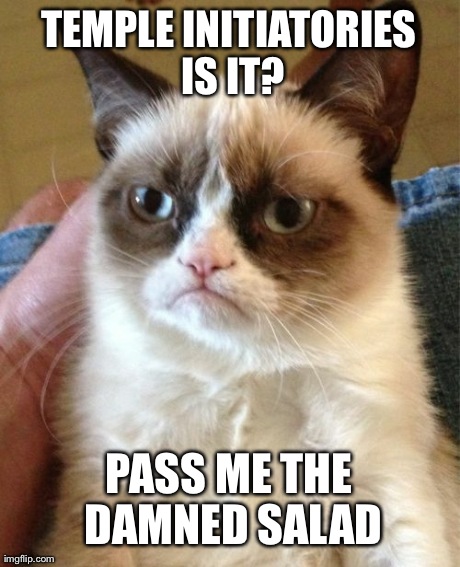 Grumpy Cat Meme | TEMPLE INITIATORIES IS IT? PASS ME THE DAMNED SALAD | image tagged in memes,grumpy cat | made w/ Imgflip meme maker