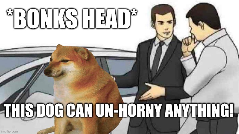 Car Salesman Slaps Roof Of Car | *BONKS HEAD*; THIS DOG CAN UN-HORNY ANYTHING! | image tagged in memes,car salesman slaps roof of car | made w/ Imgflip meme maker