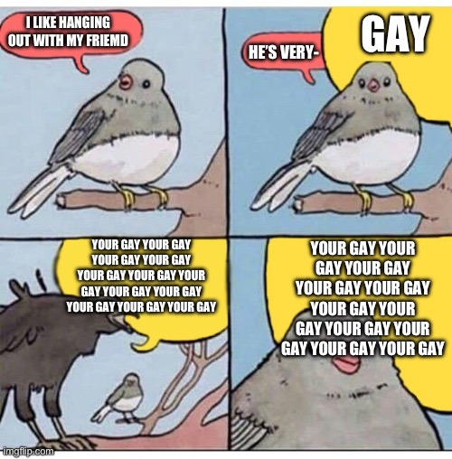 Why | GAY; I LIKE HANGING OUT WITH MY FRIEMD; HE’S VERY-; YOUR GAY YOUR GAY YOUR GAY YOUR GAY YOUR GAY YOUR GAY YOUR GAY YOUR GAY YOUR GAY YOUR GAY YOUR GAY YOUR GAY; YOUR GAY YOUR GAY YOUR GAY YOUR GAY YOUR GAY YOUR GAY YOUR GAY YOUR GAY YOUR GAY YOUR GAY YOUR GAY | image tagged in annoyed bird | made w/ Imgflip meme maker