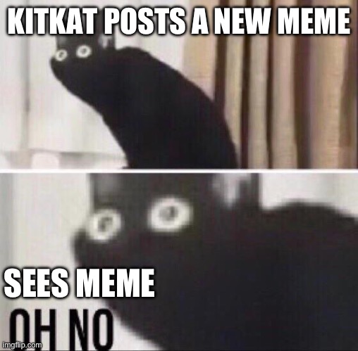 Oh no cat | KITKAT POSTS A NEW MEME; SEES MEME | image tagged in oh no cat | made w/ Imgflip meme maker
