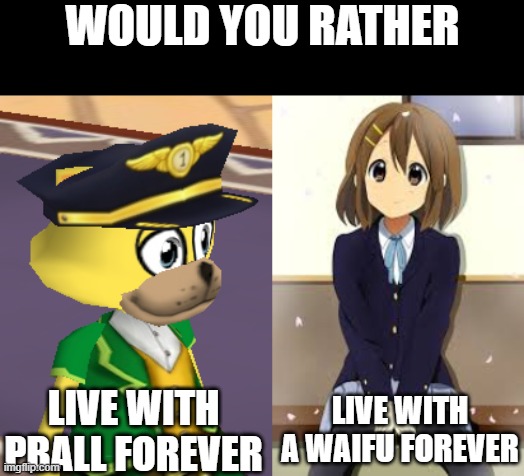 WOULD YOU RATHER; LIVE WITH PBALL FOREVER; LIVE WITH A WAIFU FOREVER | image tagged in would you rather,pball,waifu | made w/ Imgflip meme maker