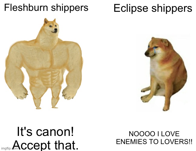 Buff Doge vs. Cheems Meme | Fleshburn shippers; Eclipse shippers; It's canon! Accept that. NOOOO I LOVE ENEMIES TO LOVERS!! | image tagged in memes,buff doge vs cheems | made w/ Imgflip meme maker