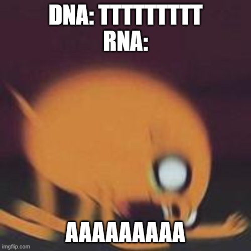 Jake Screaming | DNA: TTTTTTTTT
RNA:; AAAAAAAAA | image tagged in jake screaming | made w/ Imgflip meme maker