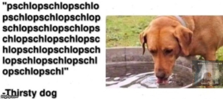 -thirsty dog | image tagged in -thirsty dog | made w/ Imgflip meme maker