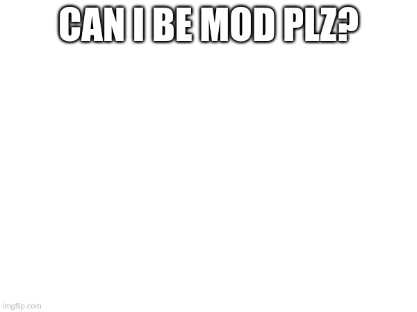 pretty please? | CAN I BE MOD PLZ? | image tagged in mods | made w/ Imgflip meme maker