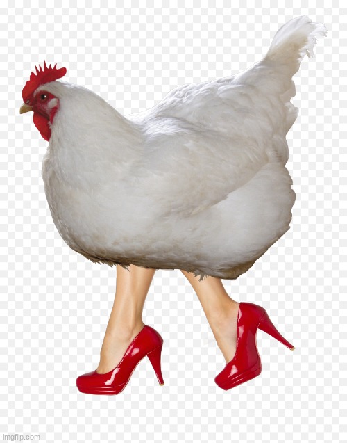 Chicken #36 | image tagged in cursed,cursed image,fun | made w/ Imgflip meme maker