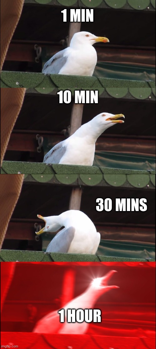 reee | 1 MIN; 10 MIN; 30 MINS; 1 HOUR | image tagged in memes,inhaling seagull | made w/ Imgflip meme maker