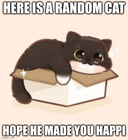 YE | HERE IS A RANDOM CAT; HOPE HE MADE YOU HAPPI | image tagged in cat,wholesome,happy | made w/ Imgflip meme maker