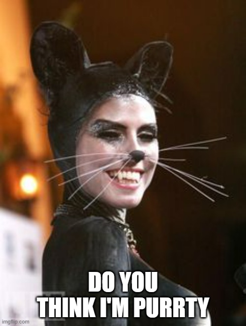 meme by Brad woman as a cat | DO YOU THINK I'M PURRTY | image tagged in cat | made w/ Imgflip meme maker