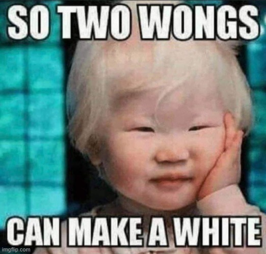 Two wrongs don`t make rice ! | image tagged in white | made w/ Imgflip meme maker