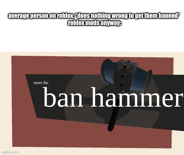 frfr | average person on roblox: *does nothing wrong to get them banned*

 roblox mods anyway:; ban hammer; meet the | image tagged in meet the blank | made w/ Imgflip meme maker