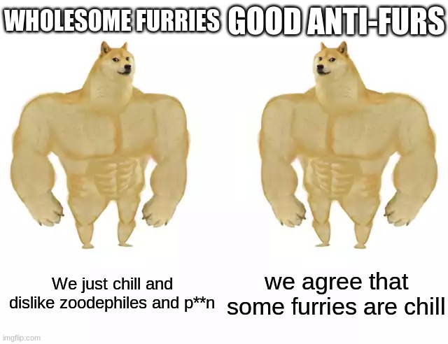 Buff Doge vs Buff Doge | WHOLESOME FURRIES; GOOD ANTI-FURS; We just chill and dislike zoodephiles and p**n; we agree that some furries are chill | image tagged in buff doge vs buff doge,furry,anti-furry | made w/ Imgflip meme maker