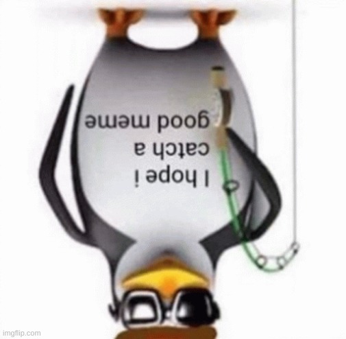 noot noot 2 electric boogaloo | image tagged in i hope i catch a good meme flipped | made w/ Imgflip meme maker