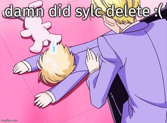 what the penis balls | damn did sylc delete :( | image tagged in death | made w/ Imgflip meme maker