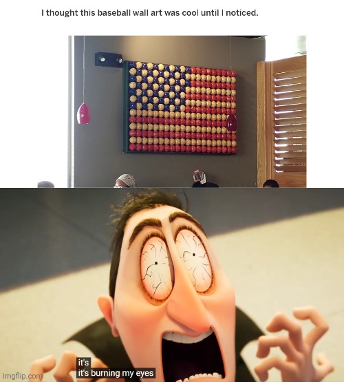 The flag | image tagged in it's burning my eyes,flag,baseball,art,you had one job,memes | made w/ Imgflip meme maker