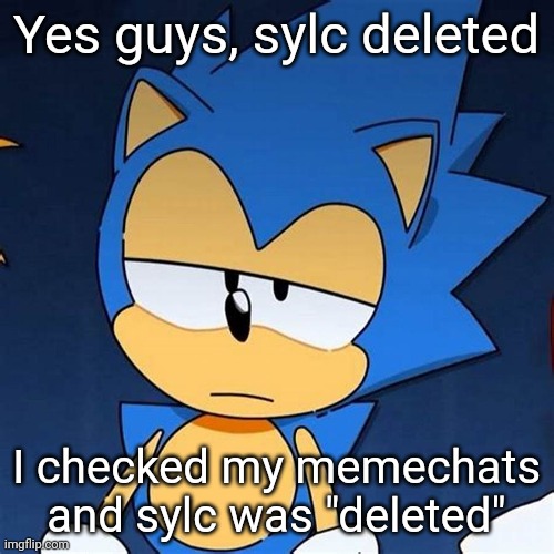 bruh | Yes guys, sylc deleted; I checked my memechats and sylc was "deleted" | image tagged in bruh | made w/ Imgflip meme maker